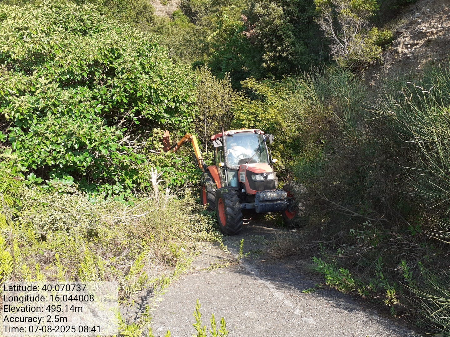 Galleria Fotografica Immagine