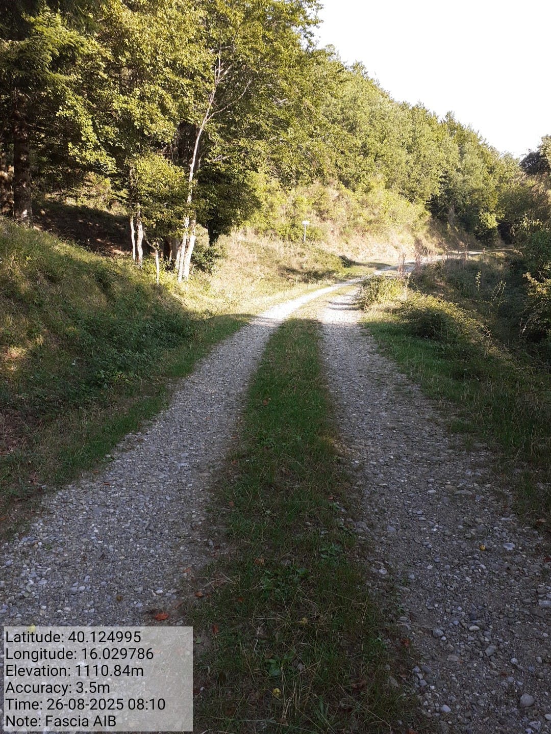 Galleria Fotografica Immagine