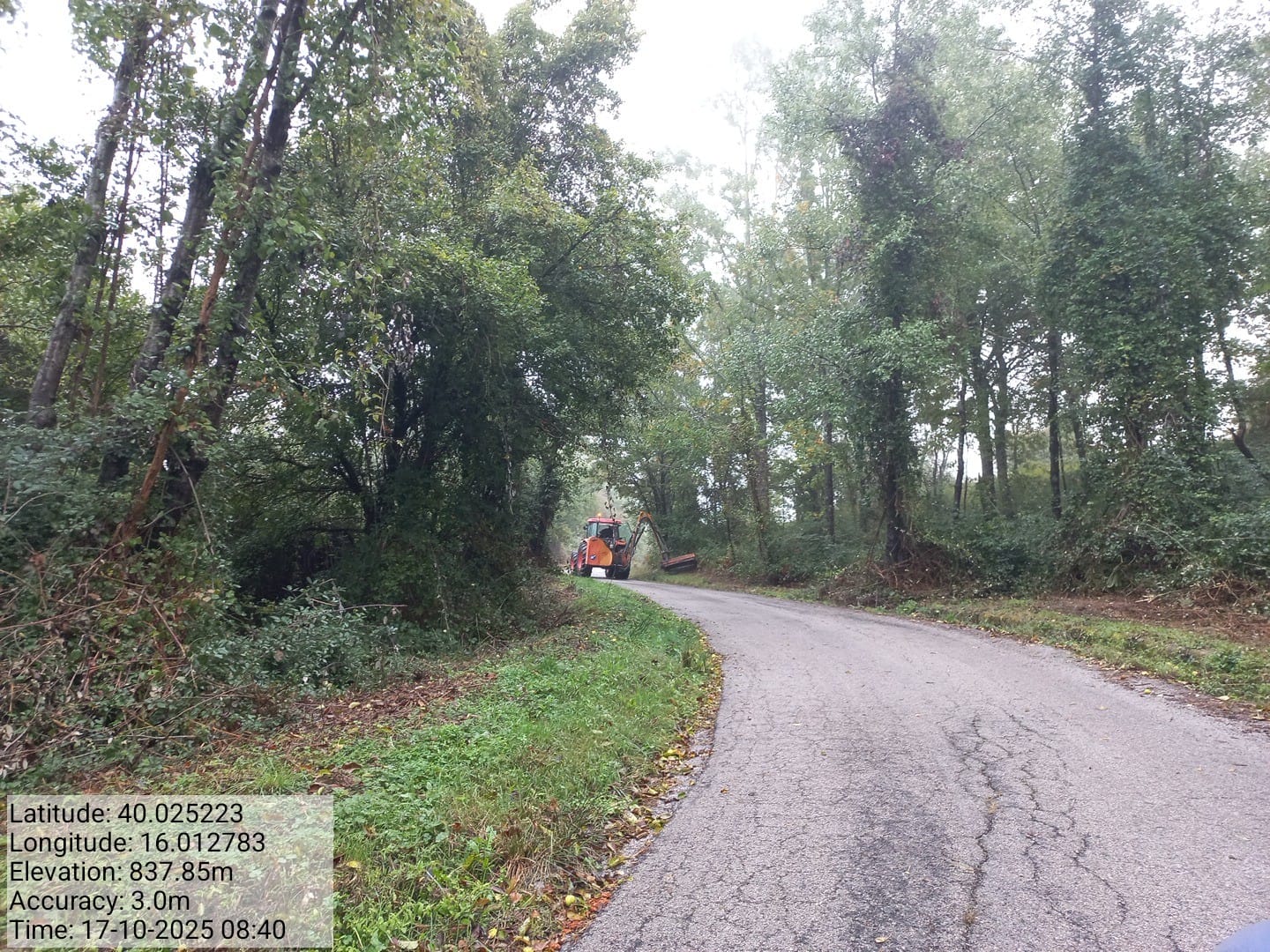 Galleria Fotografica Immagine