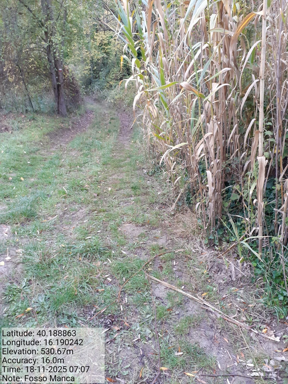 Galleria Fotografica Immagine