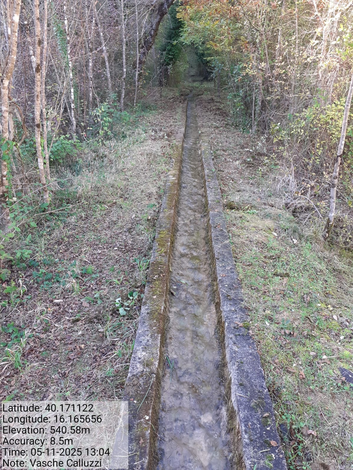 Galleria Fotografica Immagine