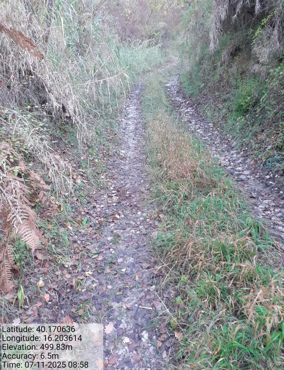 Galleria Fotografica Immagine