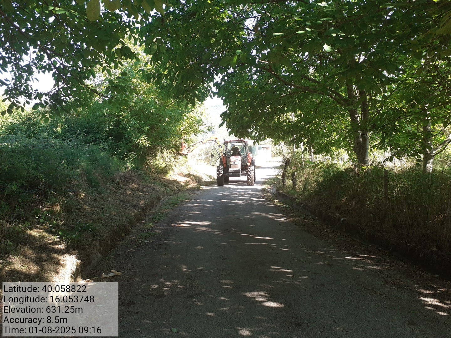 Galleria Fotografica Immagine