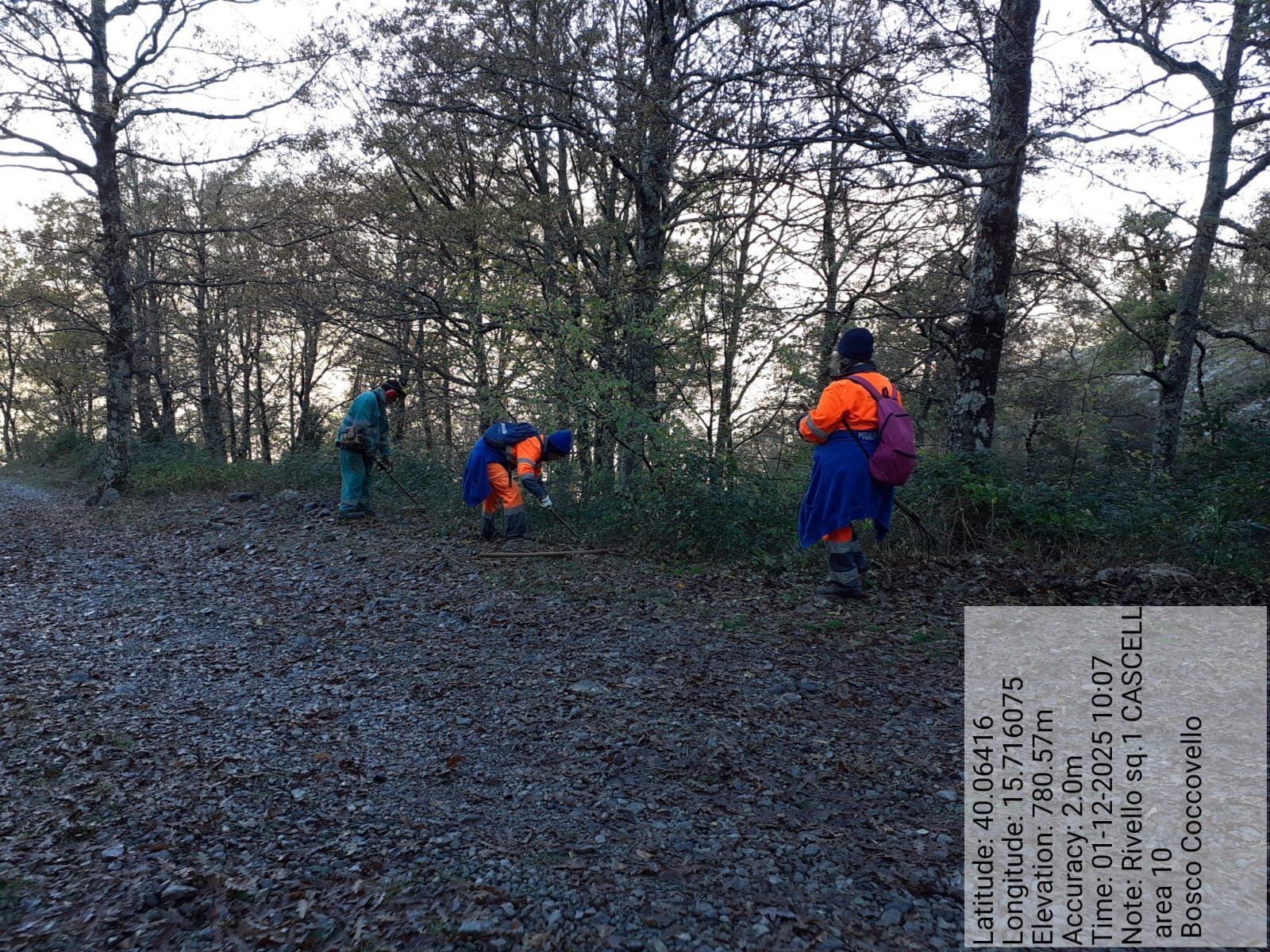 Galleria Fotografica Immagine