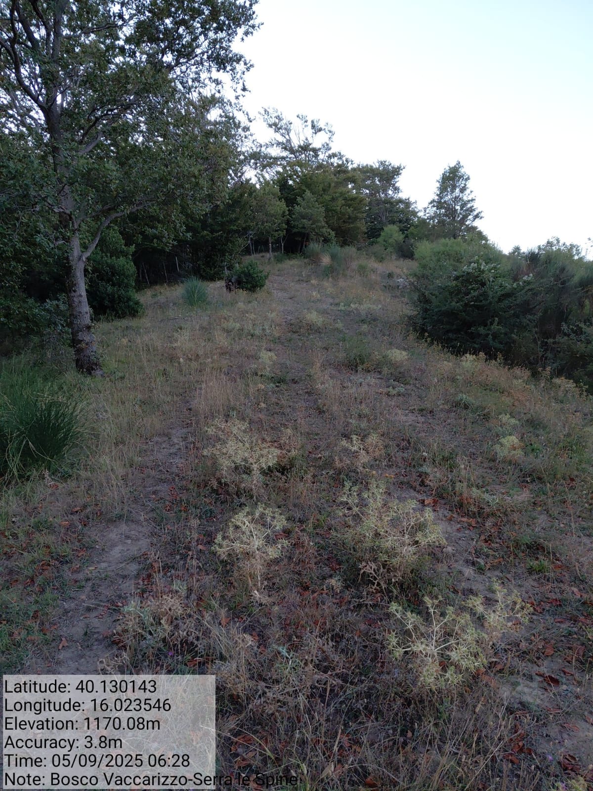 Galleria Fotografica Immagine