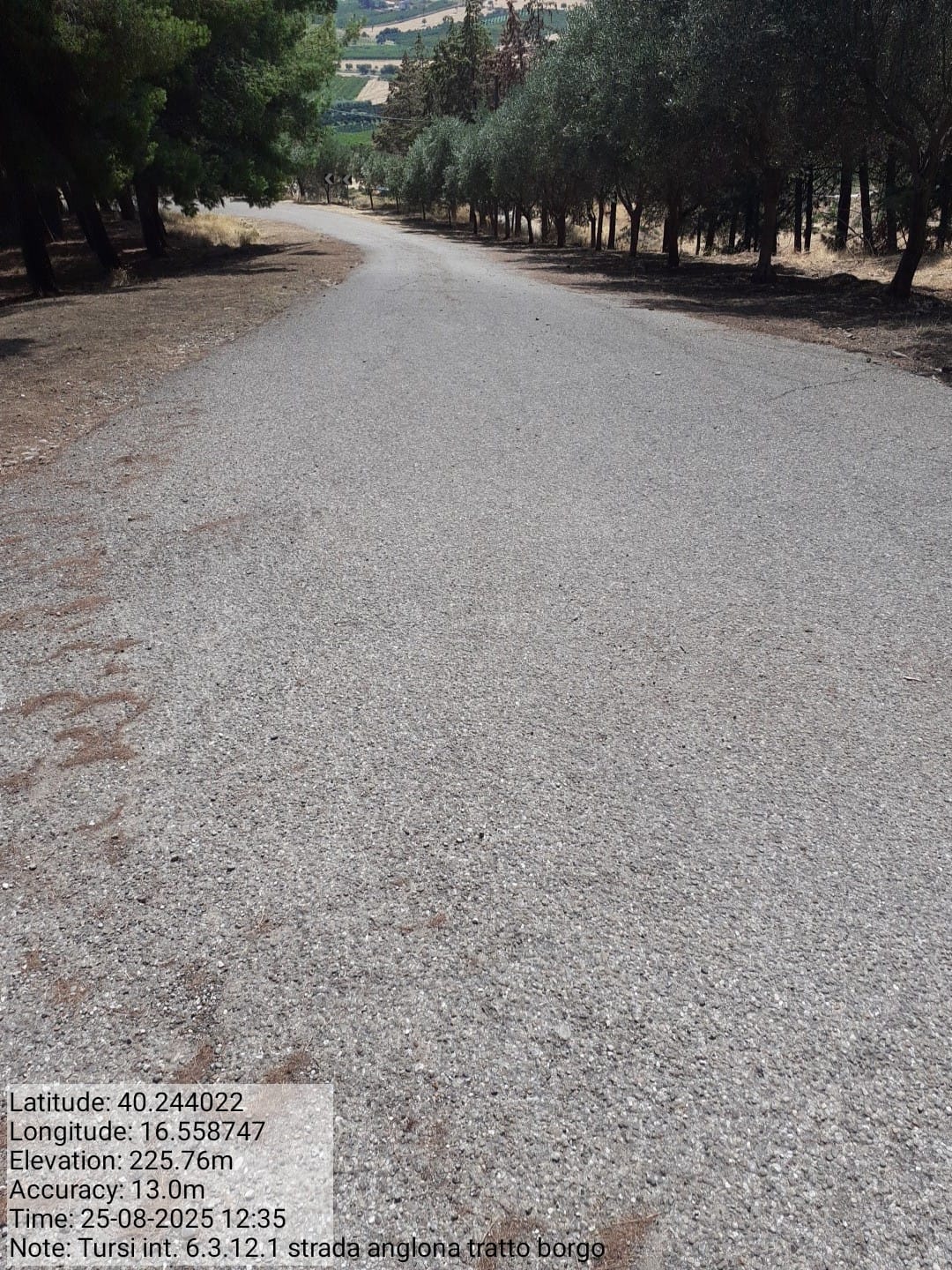 Galleria Fotografica Immagine