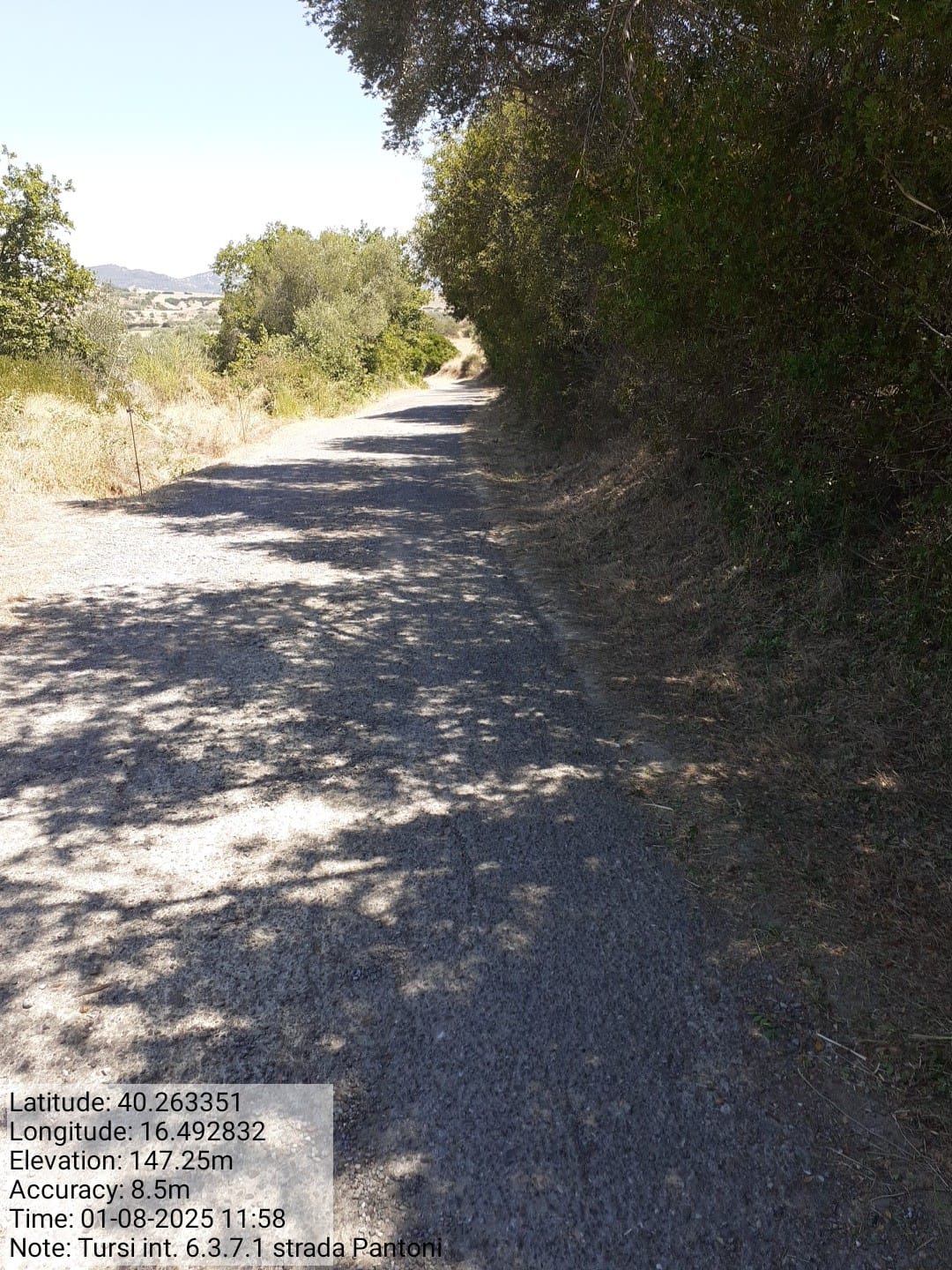 Galleria Fotografica Immagine