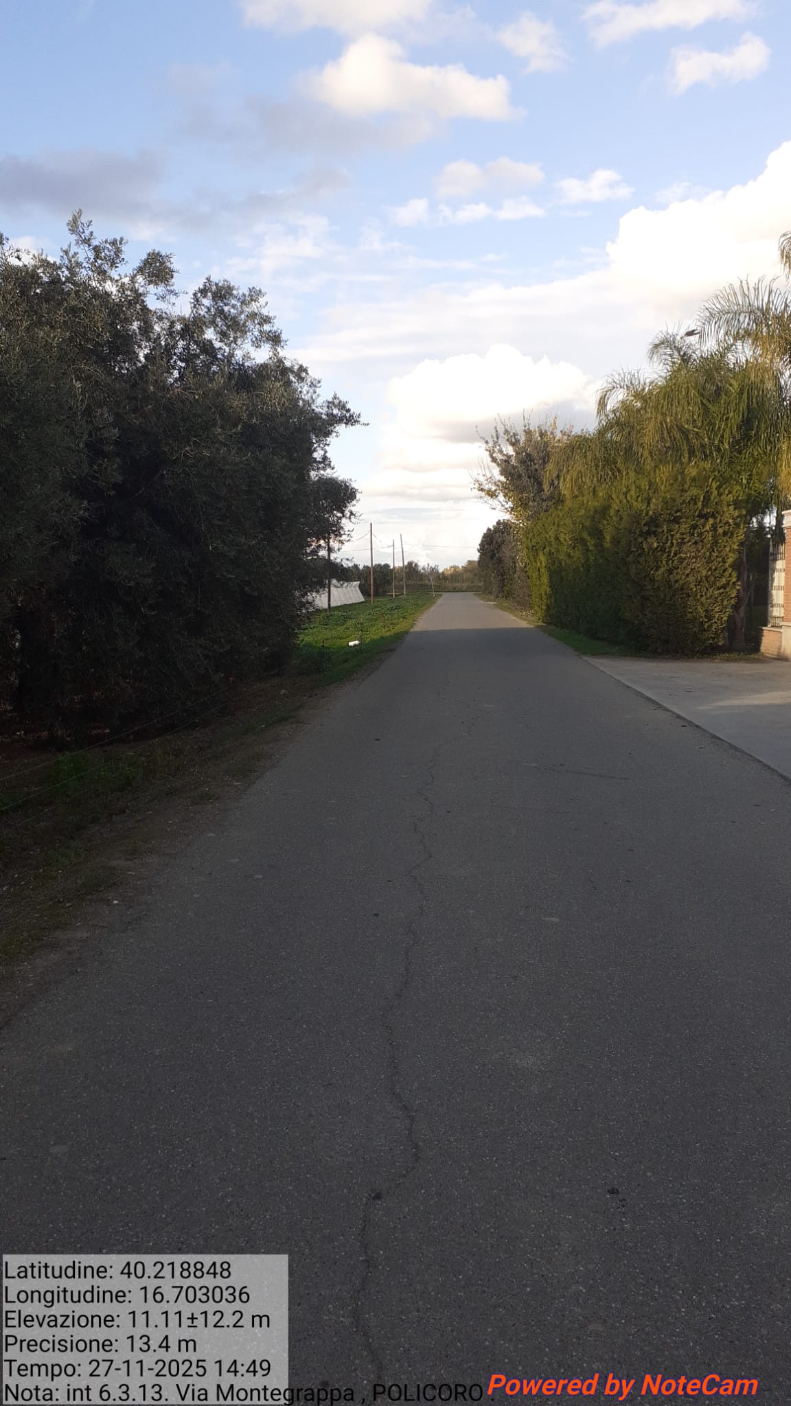 Galleria Fotografica Immagine