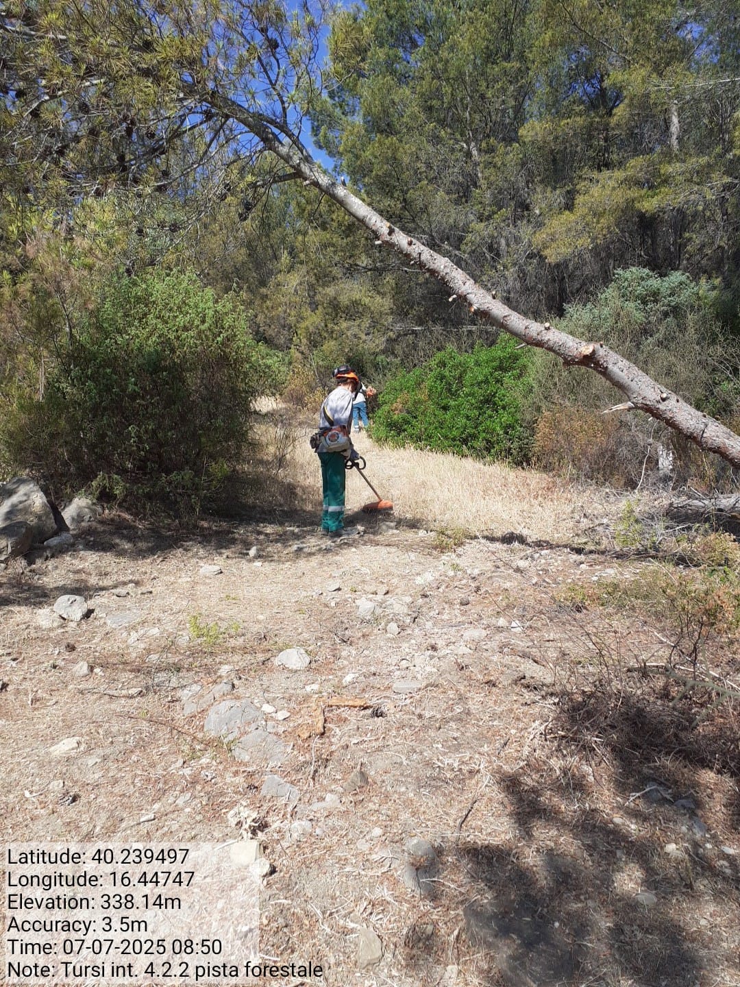 Galleria Fotografica Immagine