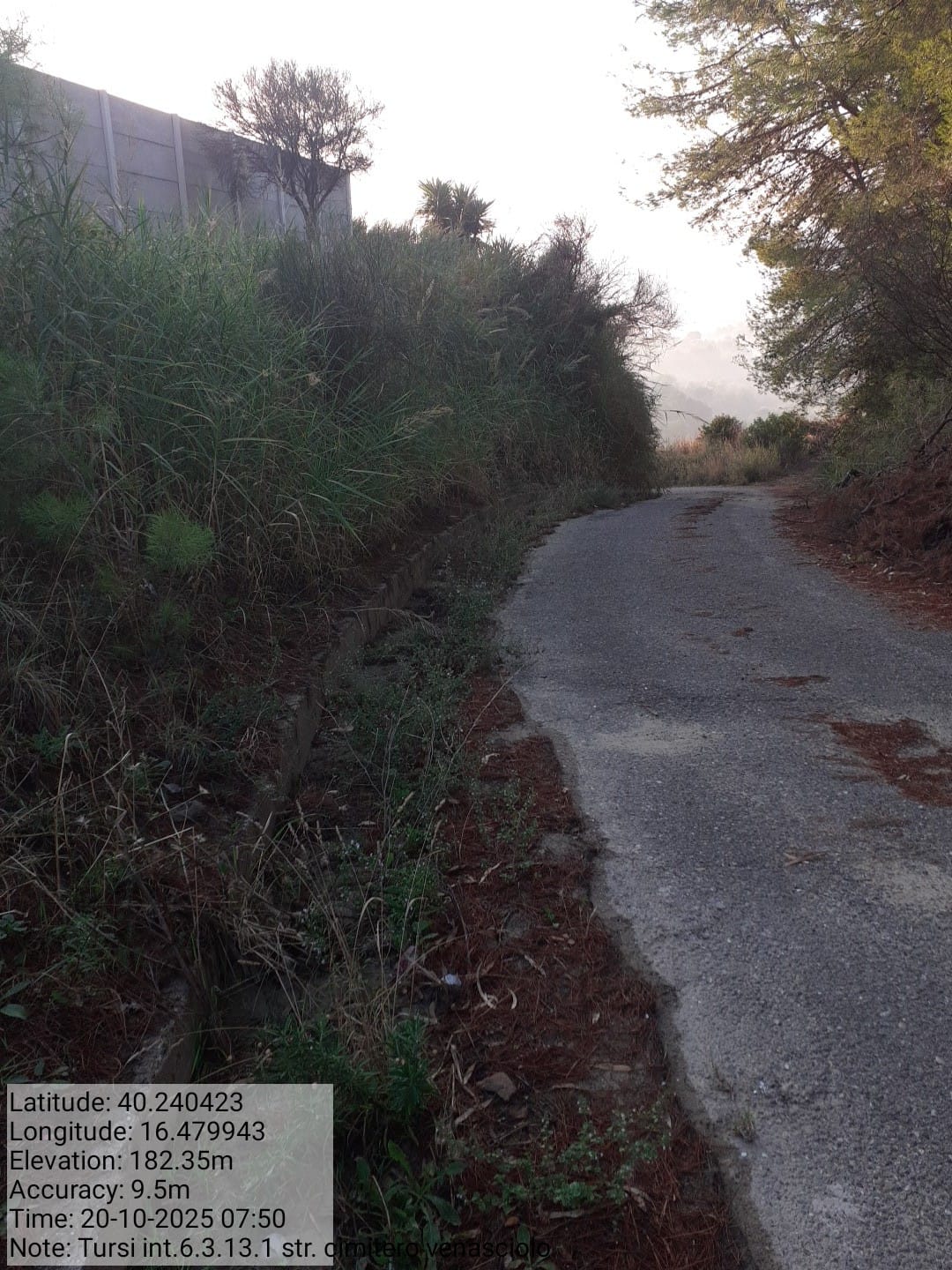 Galleria Fotografica Immagine