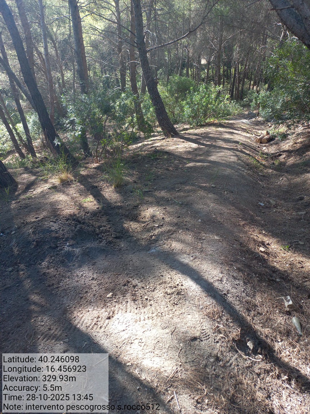 Galleria Fotografica Immagine