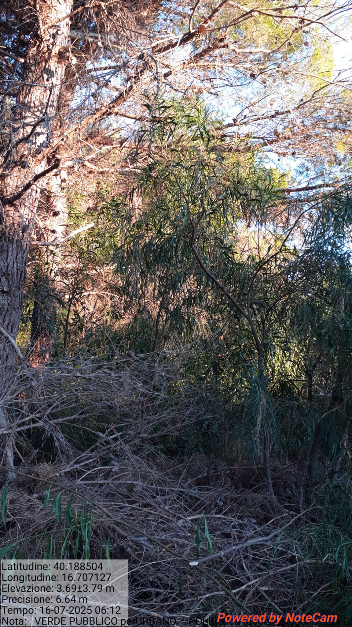 Galleria Fotografica Immagine