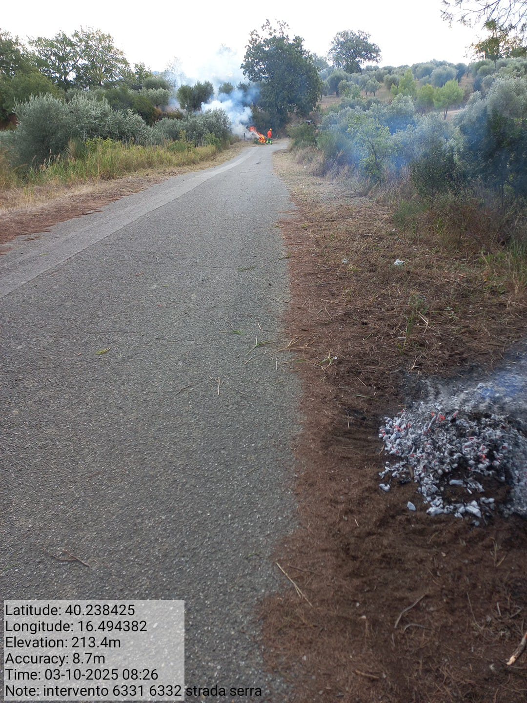 Galleria Fotografica Immagine