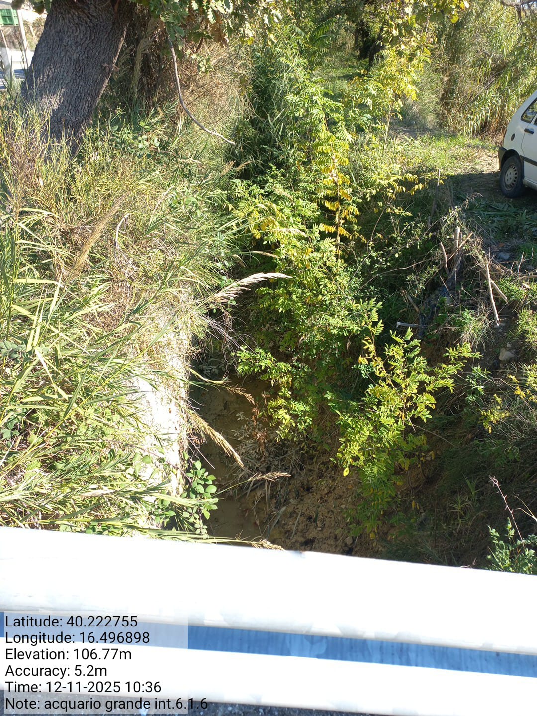 Galleria Fotografica Immagine