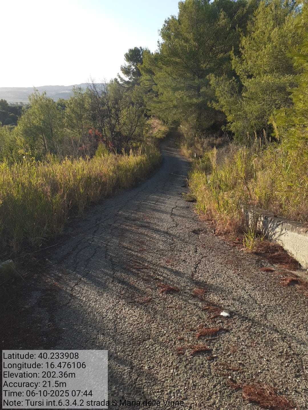 Galleria Fotografica Immagine