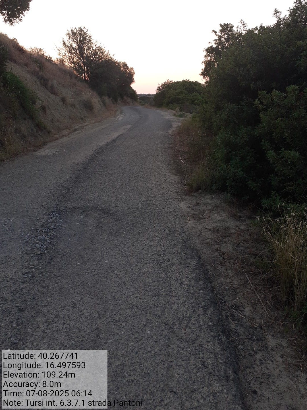 Galleria Fotografica Immagine