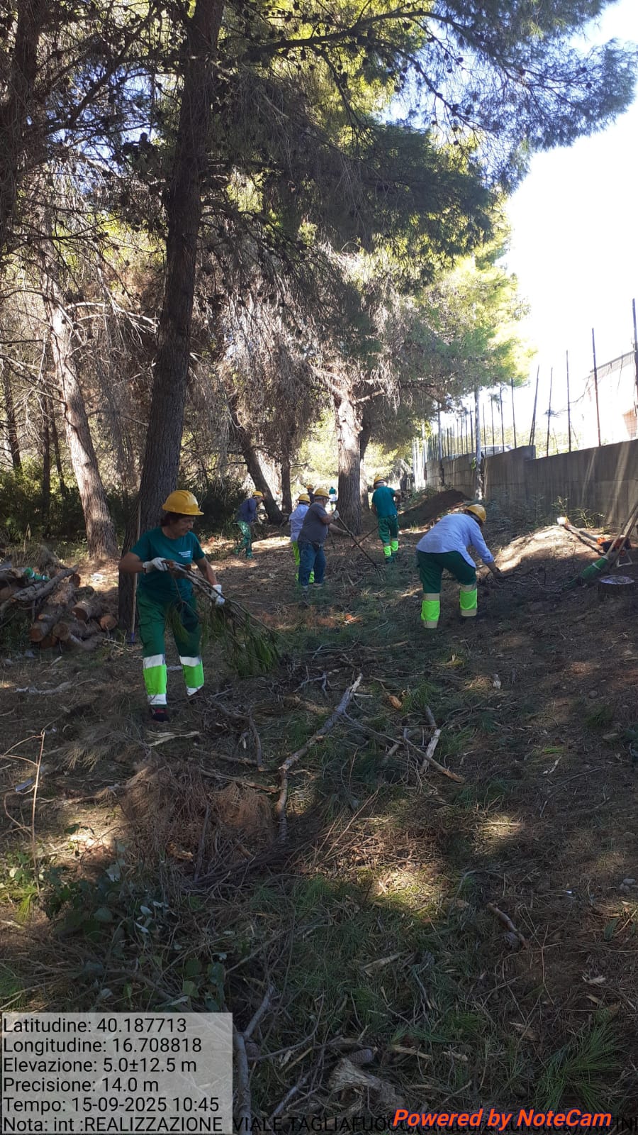 Galleria Fotografica Immagine