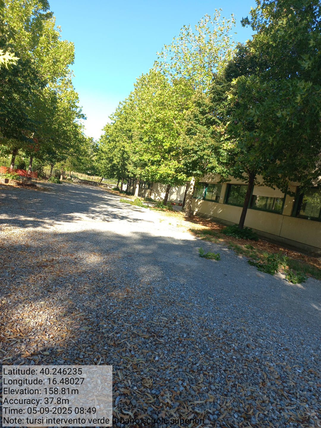 Galleria Fotografica Immagine