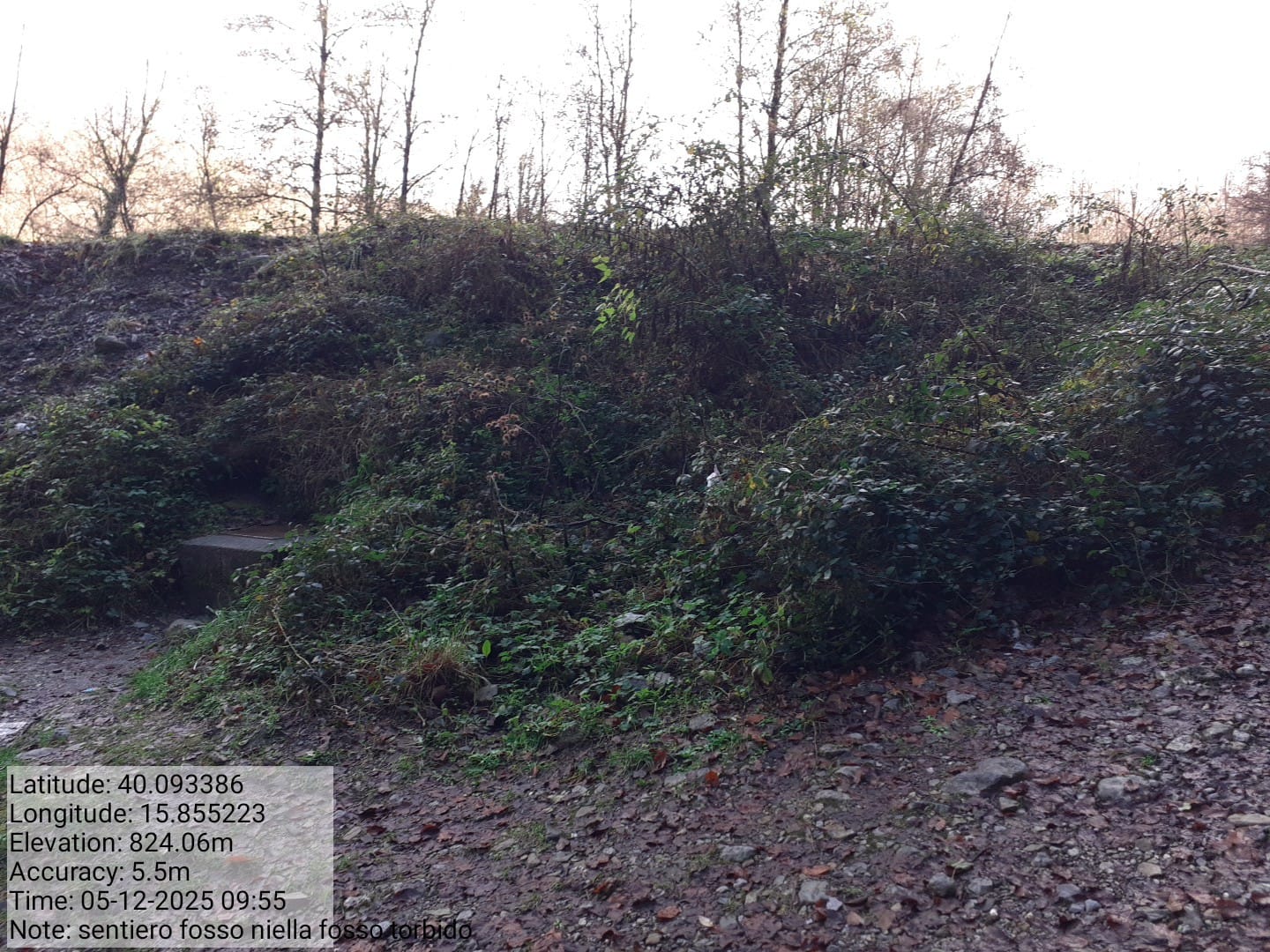 Galleria Fotografica Immagine