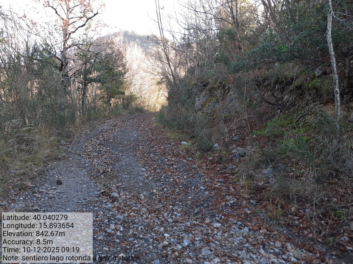 Galleria Fotografica Immagine