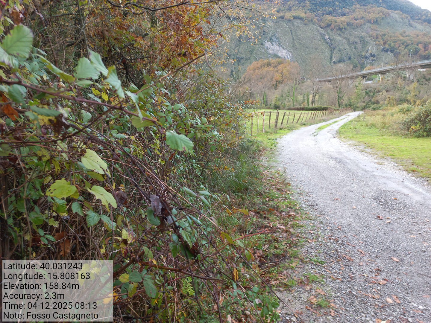 Galleria Fotografica Immagine