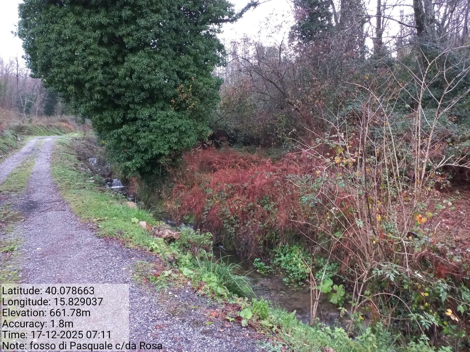 Galleria Fotografica Immagine