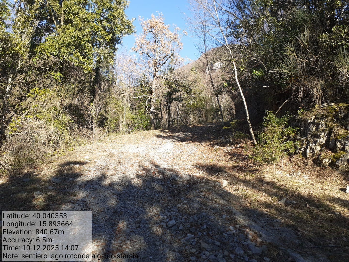 Galleria Fotografica Immagine