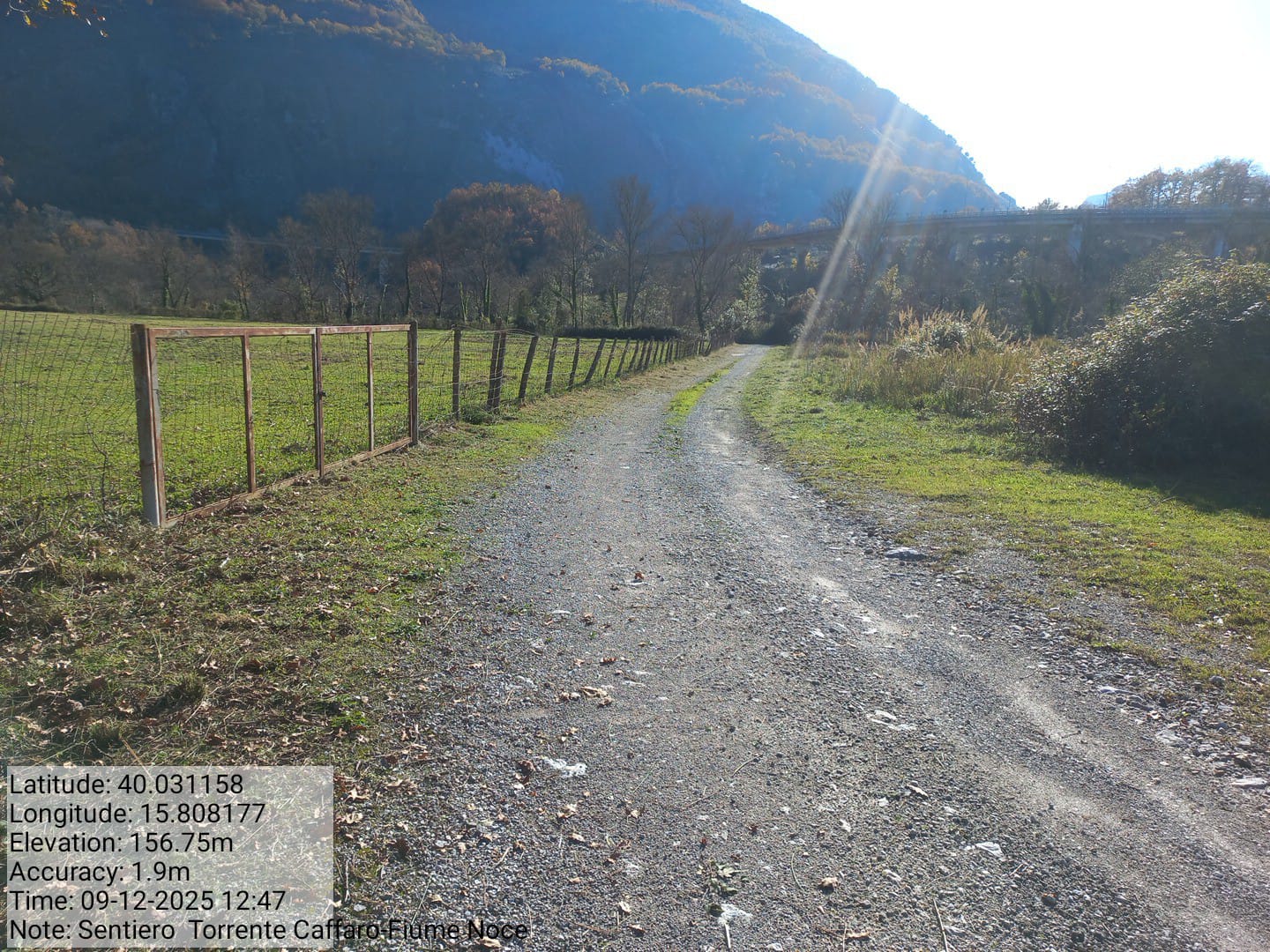 Galleria Fotografica Immagine