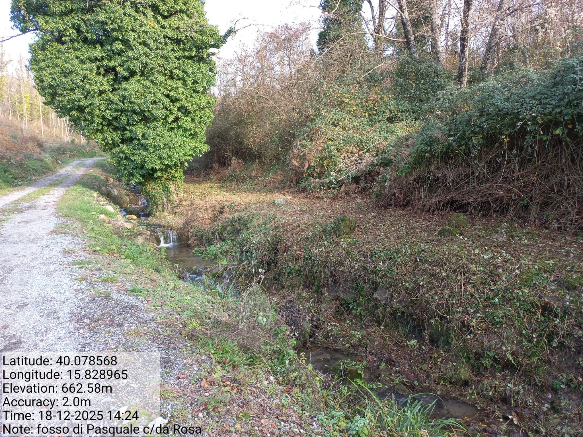 Galleria Fotografica Immagine