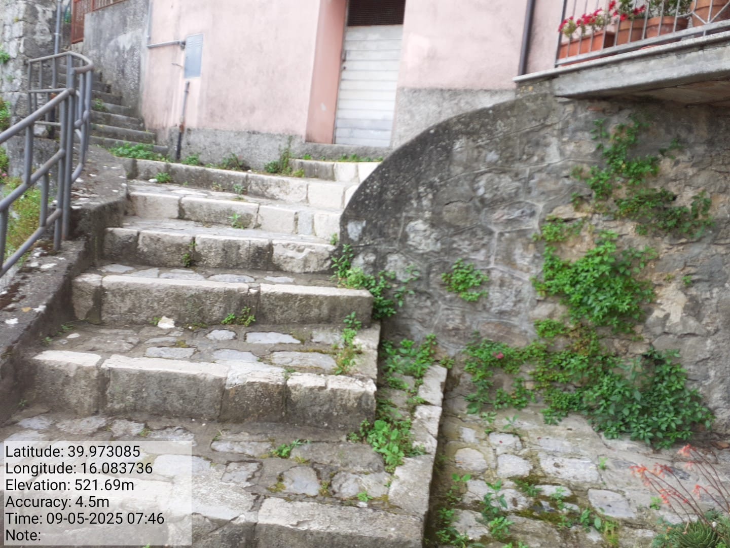 Galleria Fotografica Immagine