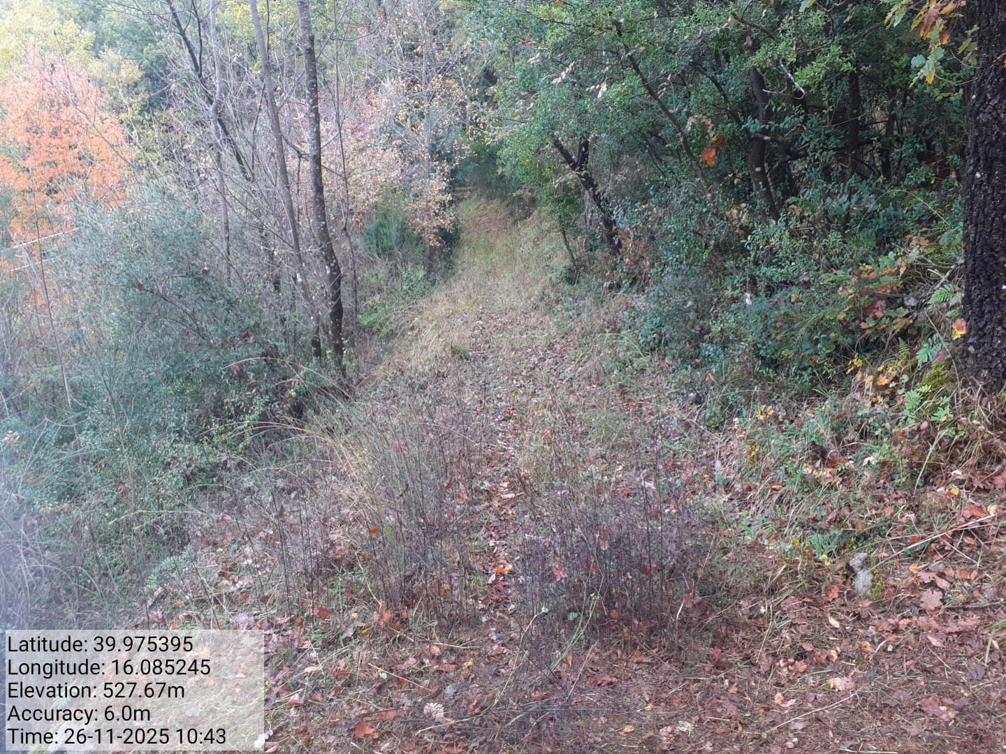 Galleria Fotografica Immagine