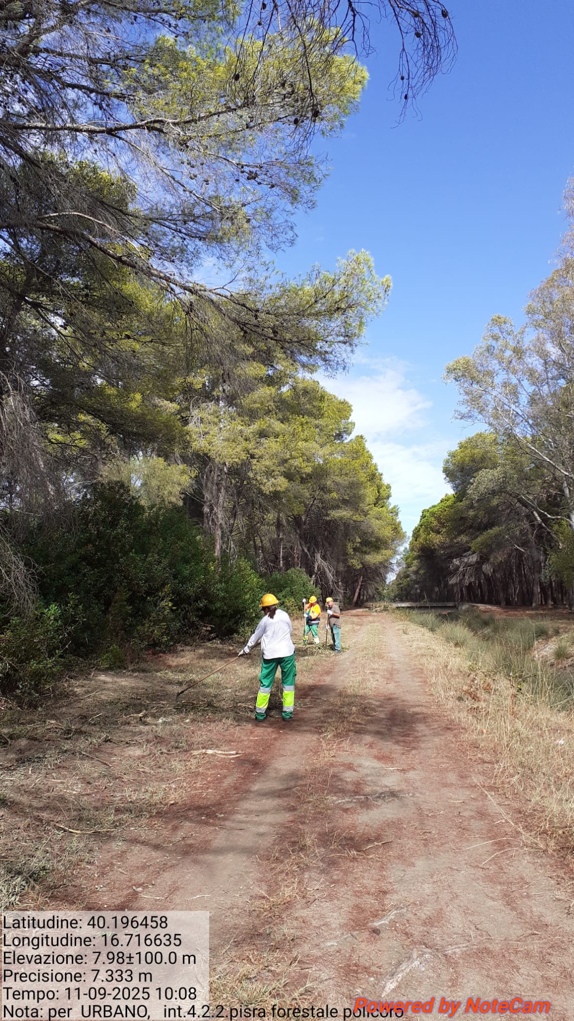 Galleria Fotografica Immagine