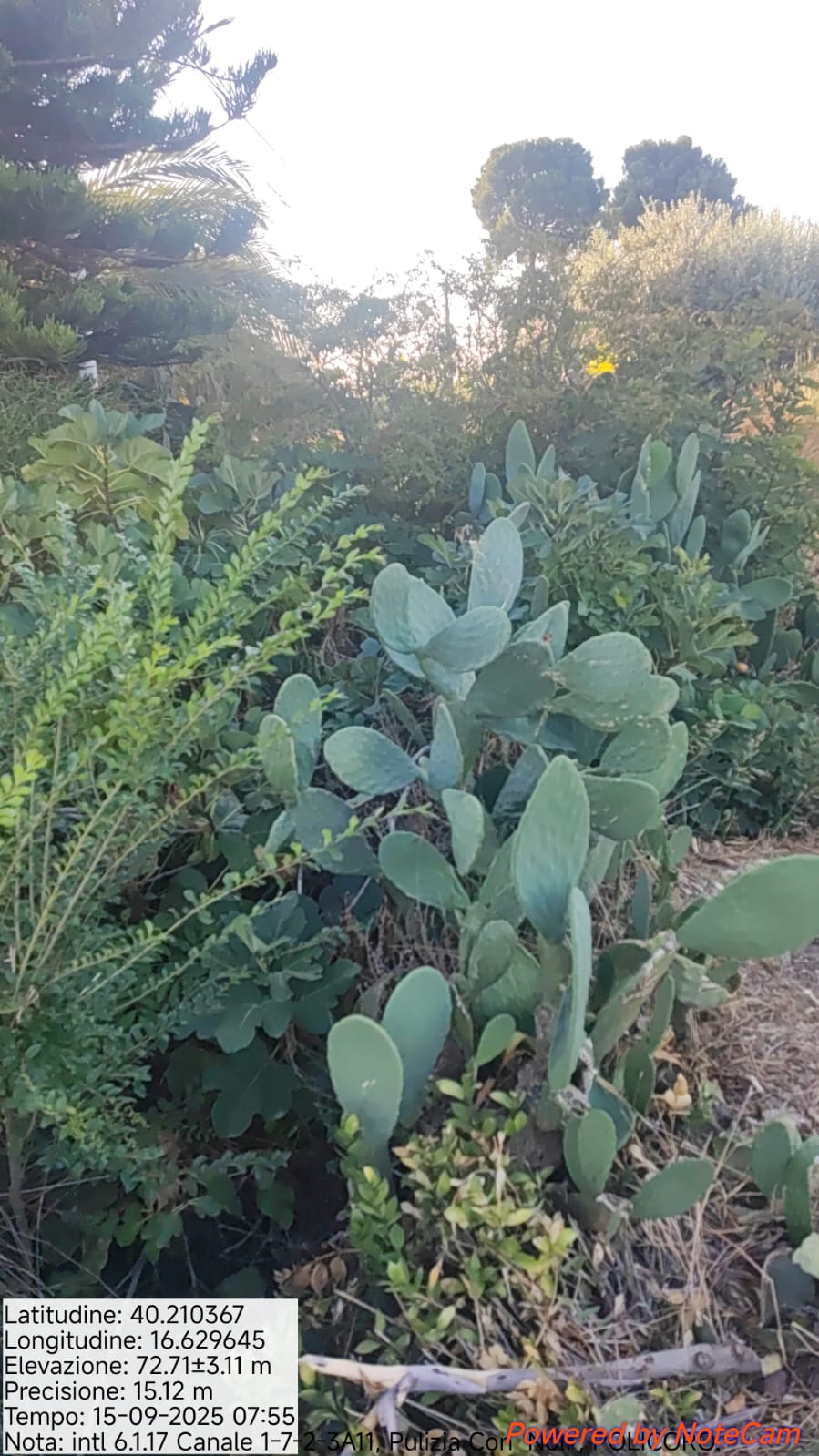 Galleria Fotografica Immagine