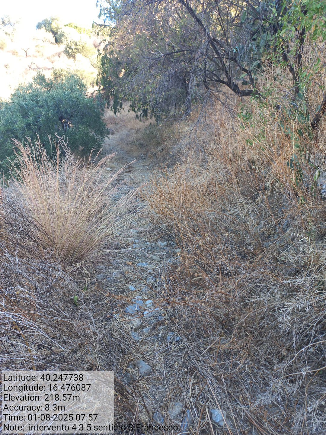 Galleria Fotografica Immagine