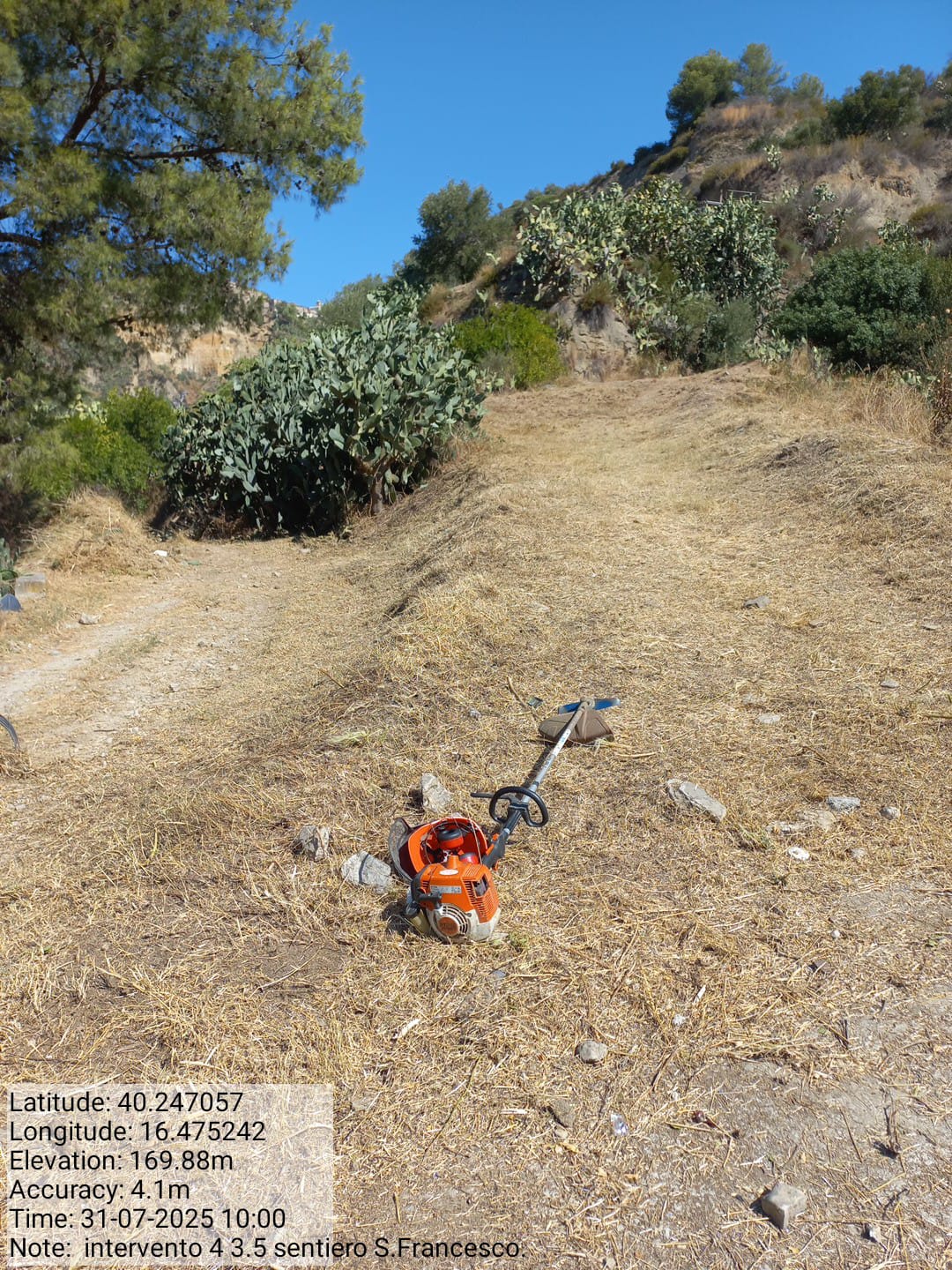 Galleria Fotografica Immagine