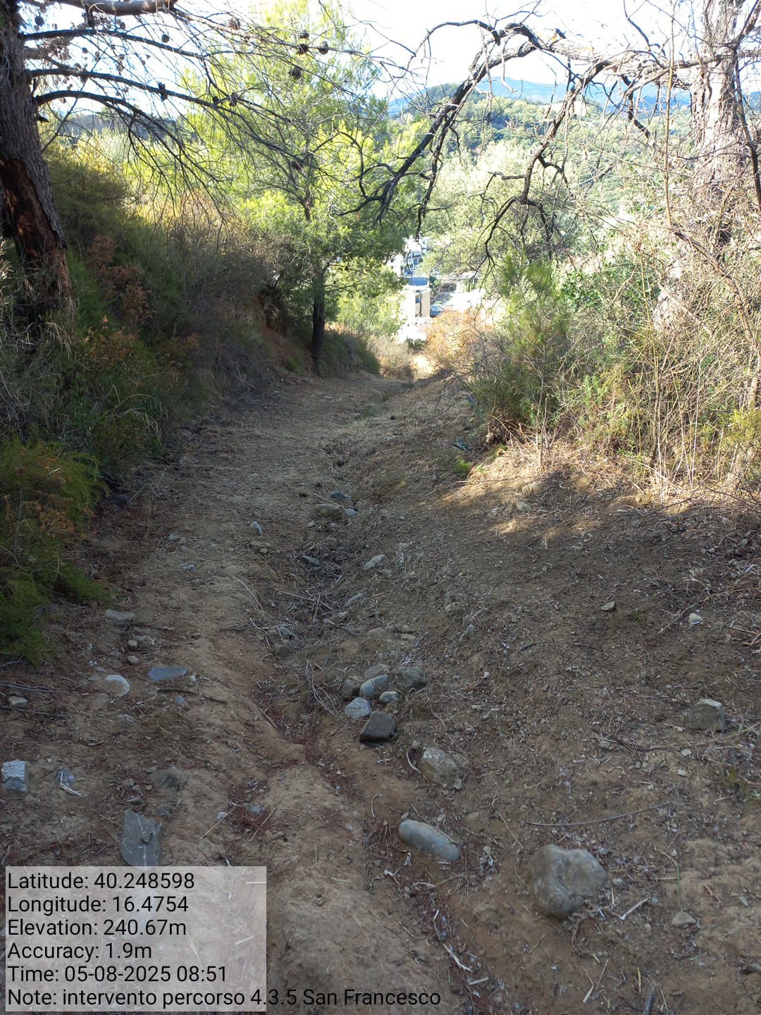 Galleria Fotografica Immagine