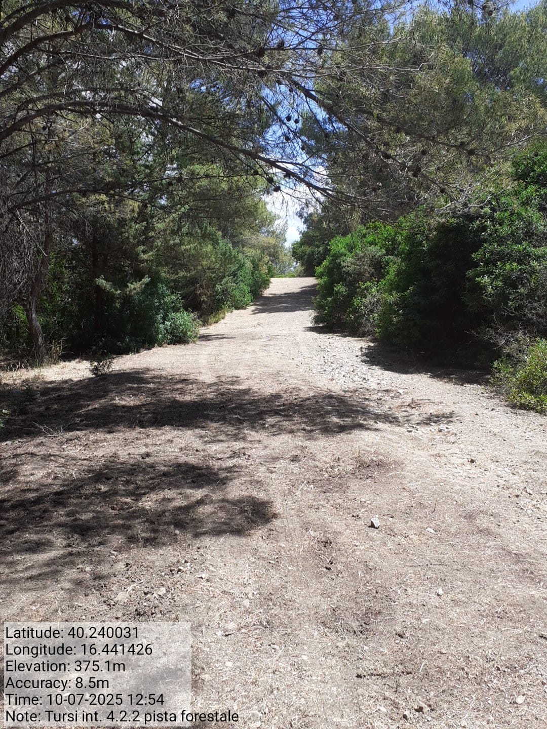 Galleria Fotografica Immagine