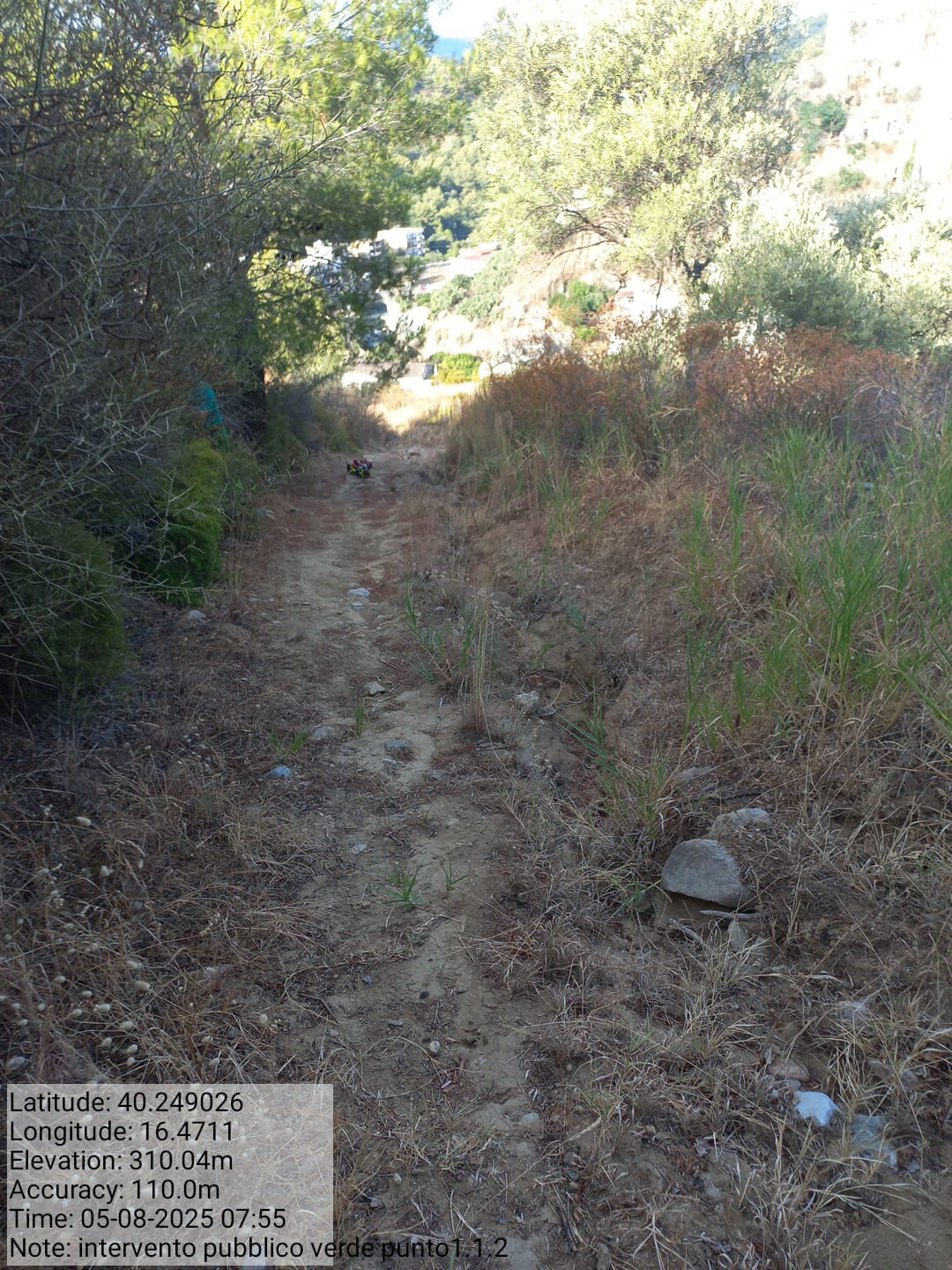 Galleria Fotografica Immagine