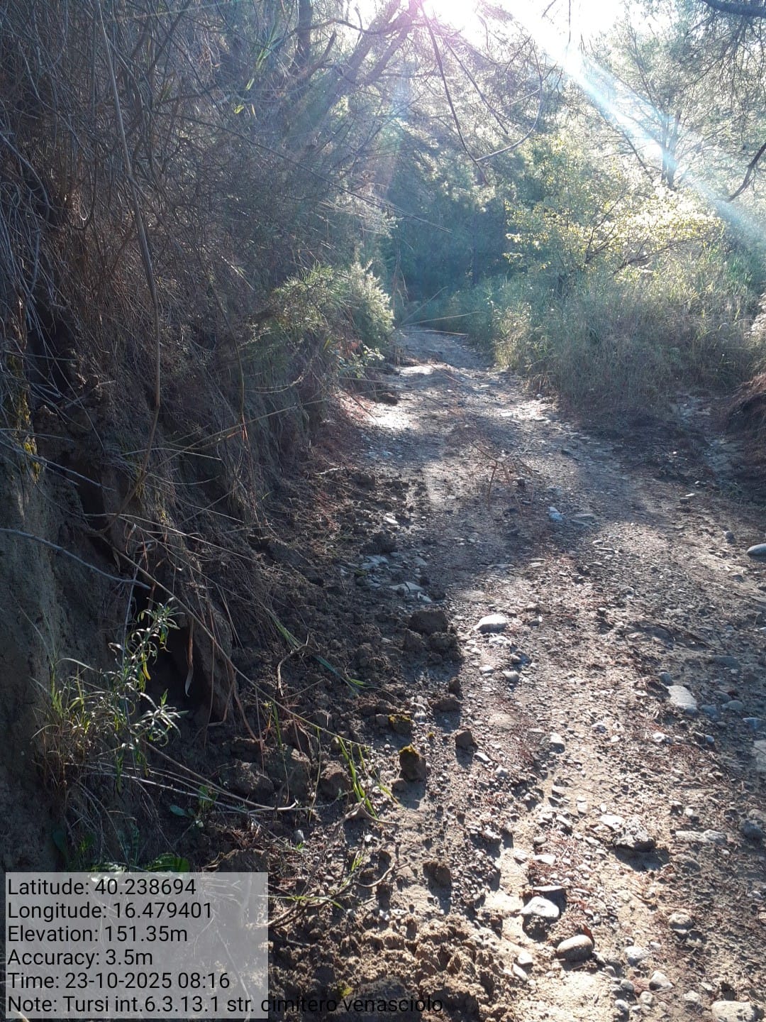 Galleria Fotografica Immagine