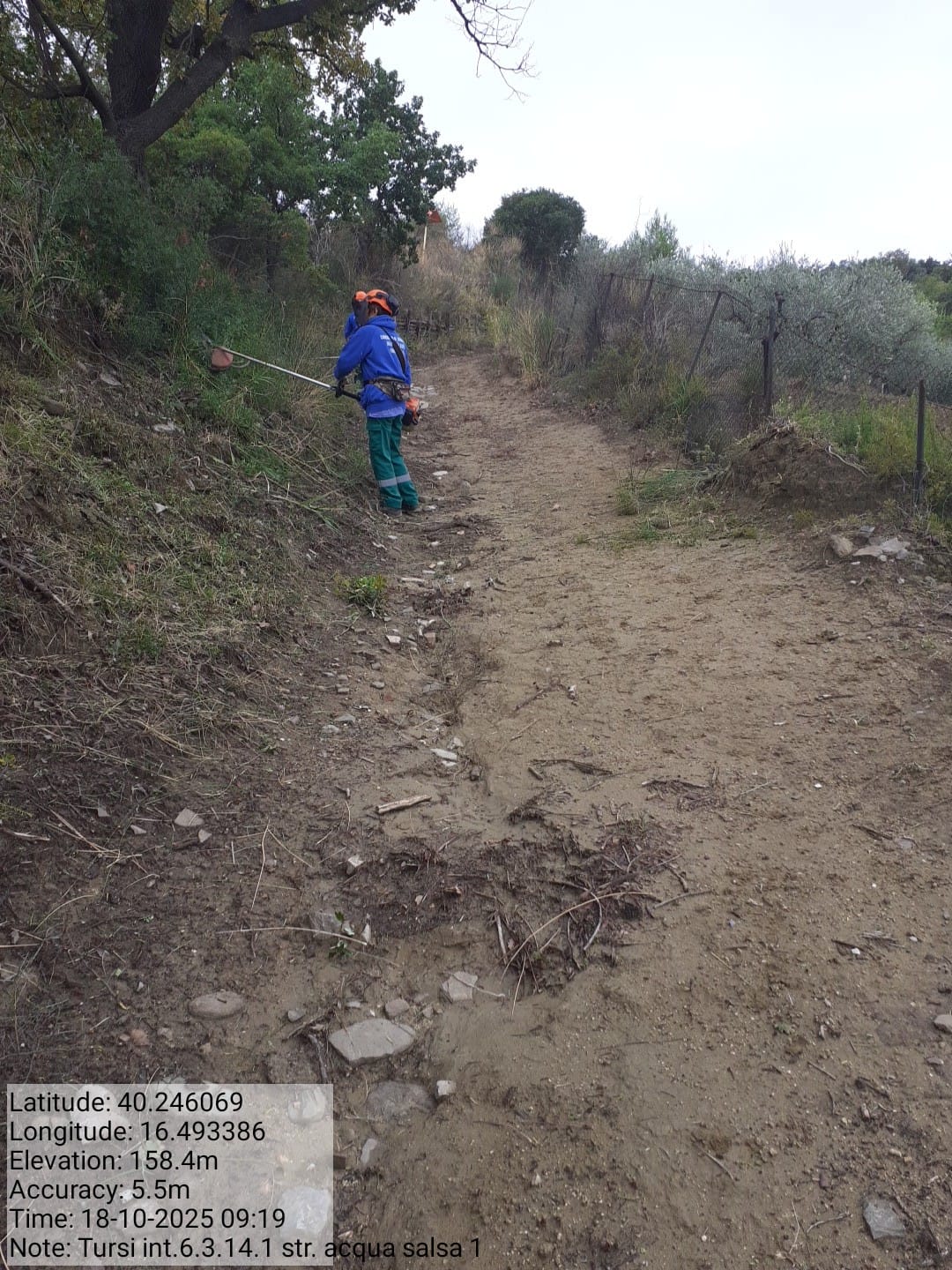 Galleria Fotografica Immagine