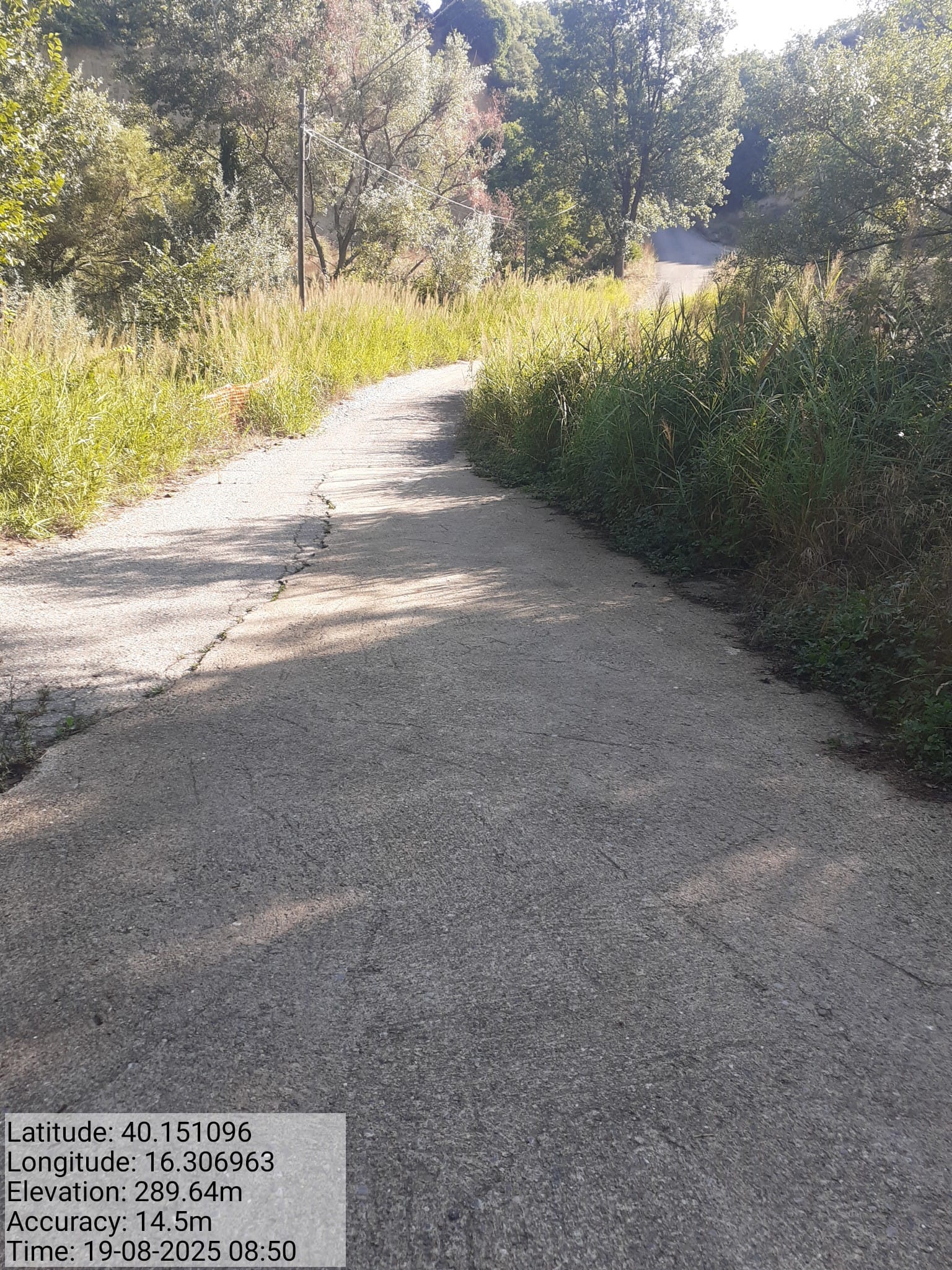 Galleria Fotografica Immagine