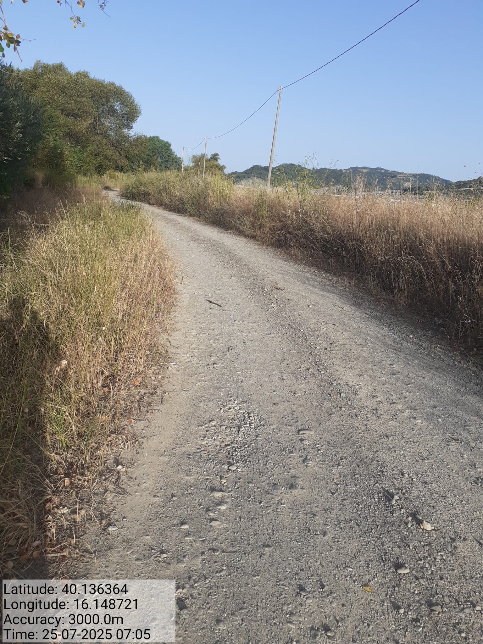 Galleria Fotografica Immagine