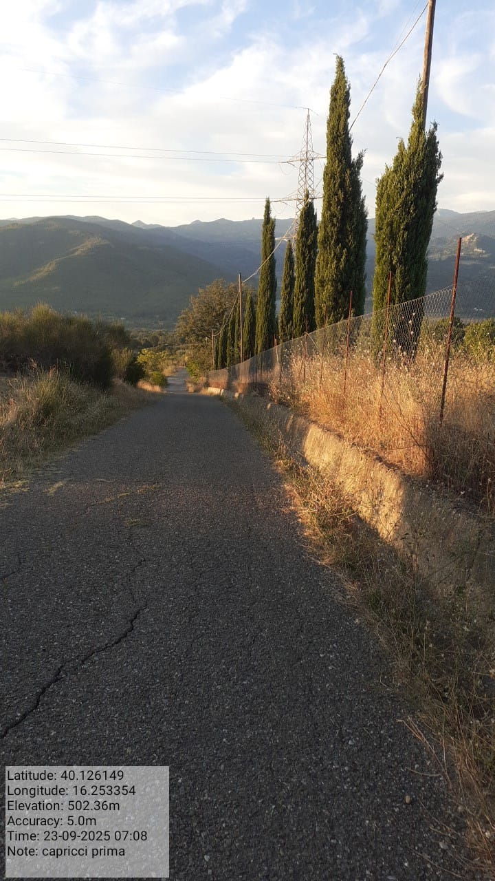 Galleria Fotografica Immagine