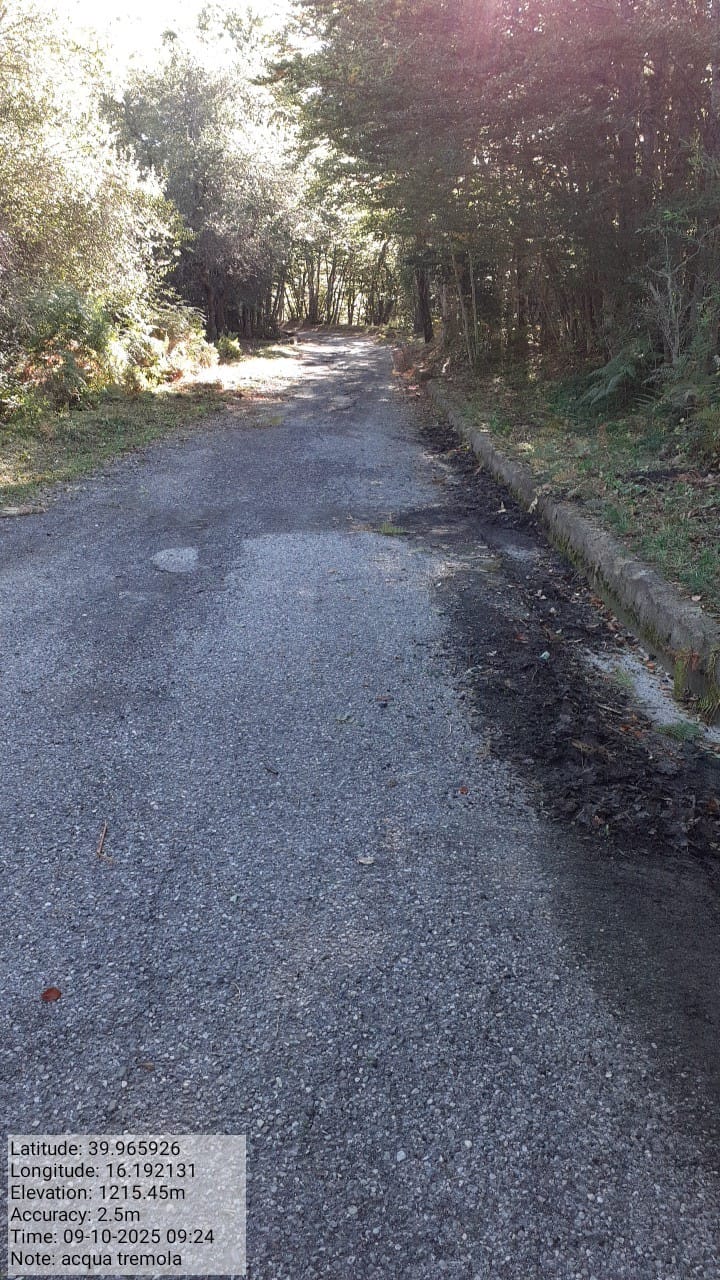 Galleria Fotografica Immagine