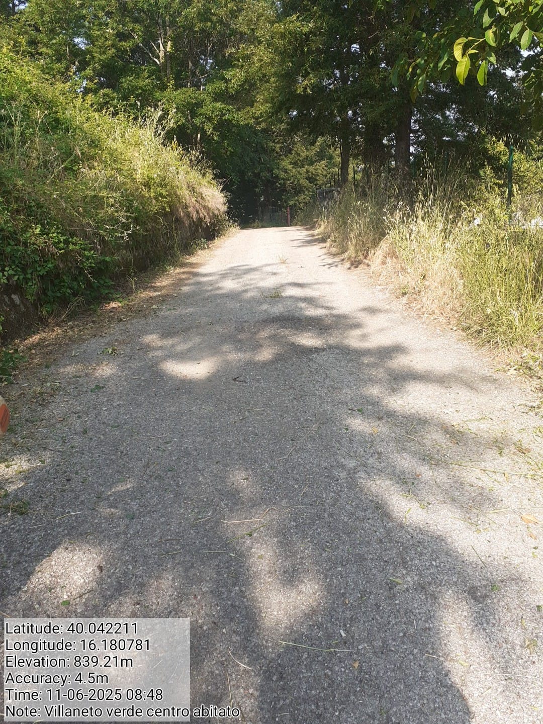 Galleria Fotografica Immagine