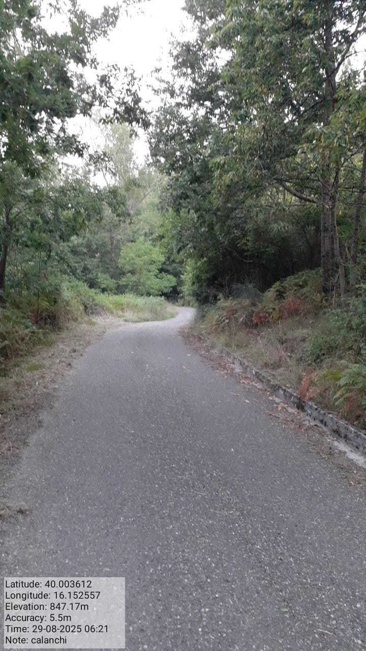 Galleria Fotografica Immagine