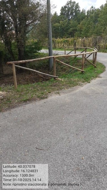 Galleria Fotografica Immagine