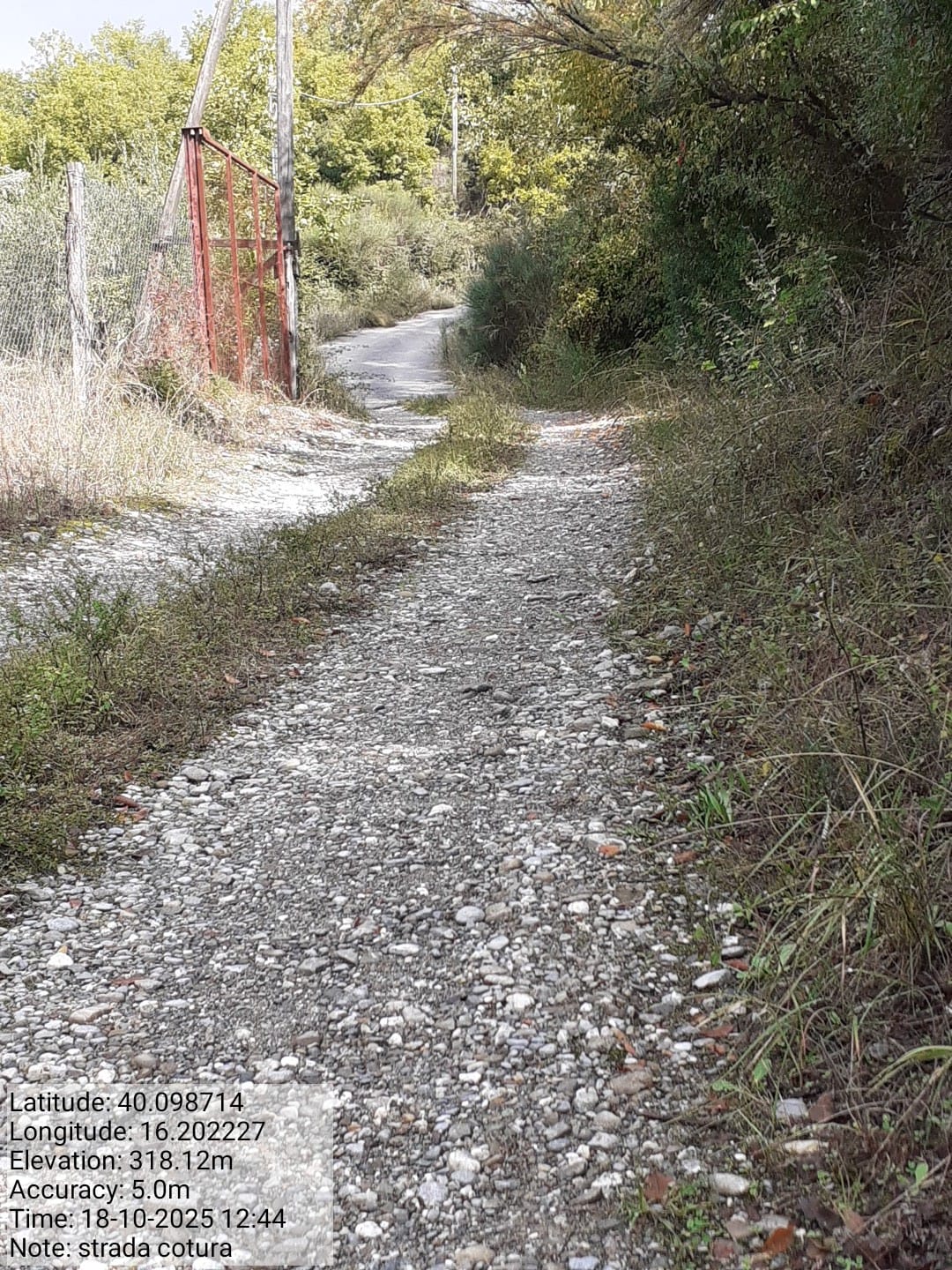 Galleria Fotografica Immagine