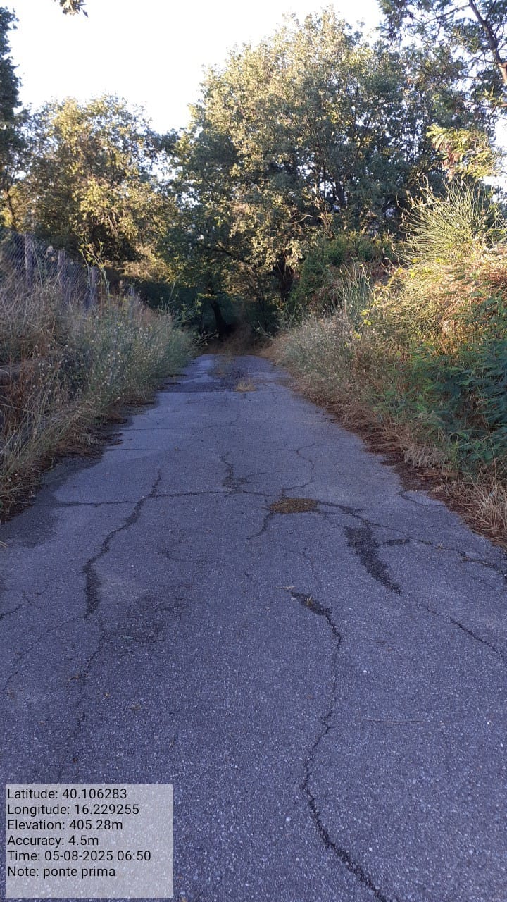 Galleria Fotografica Immagine