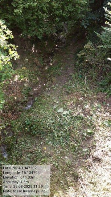 Galleria Fotografica Immagine